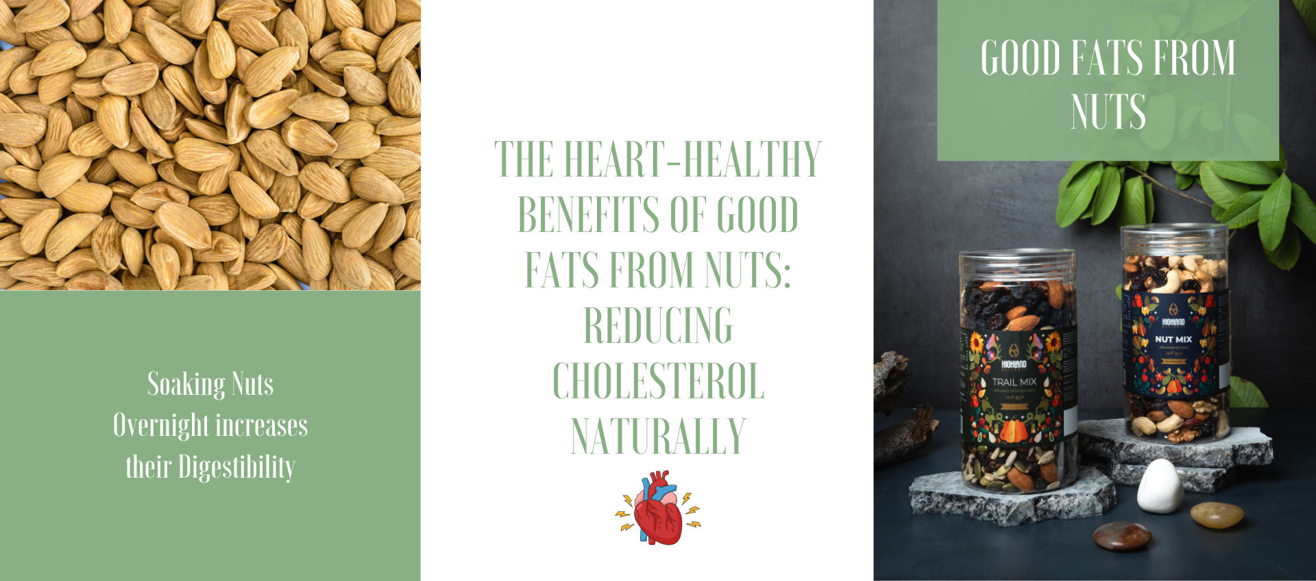 The Heart-Healthy Benefits of Good Fats from Nuts: Reducing Cholesterol Naturally