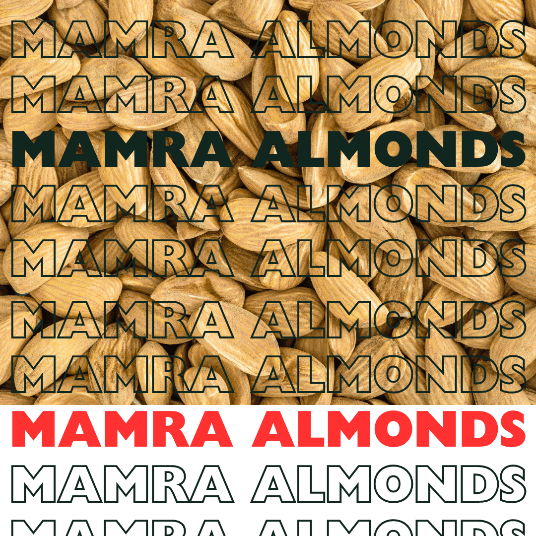 Highland Delights Real Mamra Almonds 150g: King of Almonds