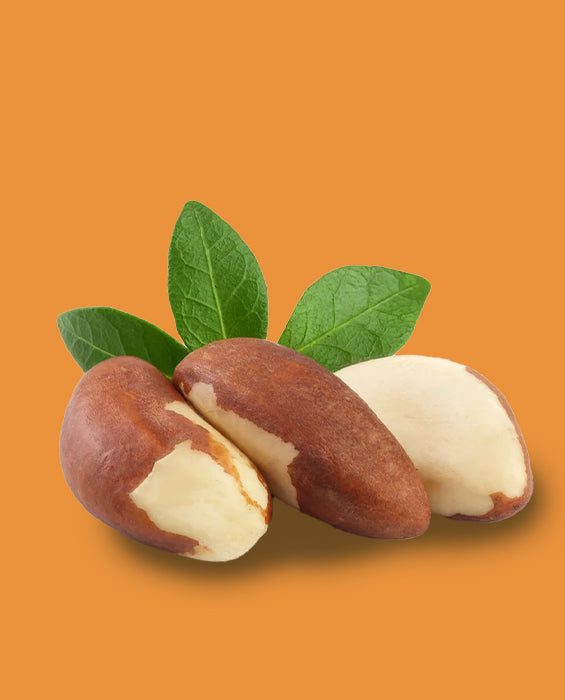 Premium Exotic Brazil Nuts